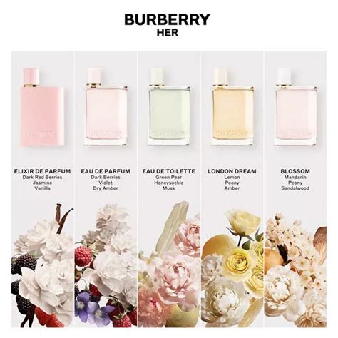 burberry body scent notes|burberry classic perfume notes.